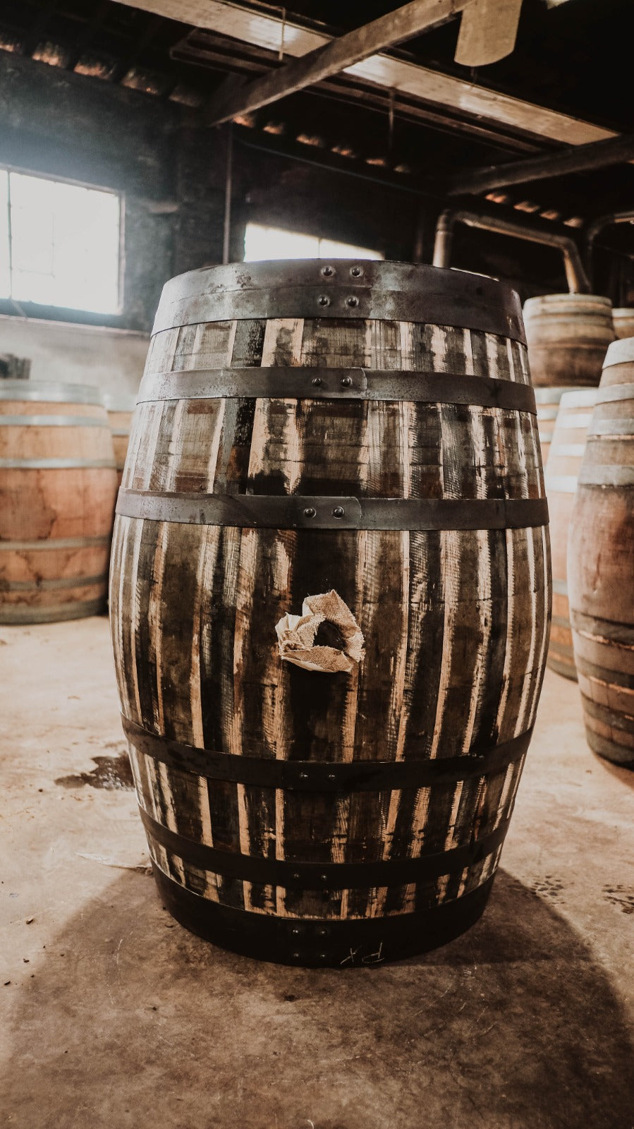 Reserve - Alligator Cask